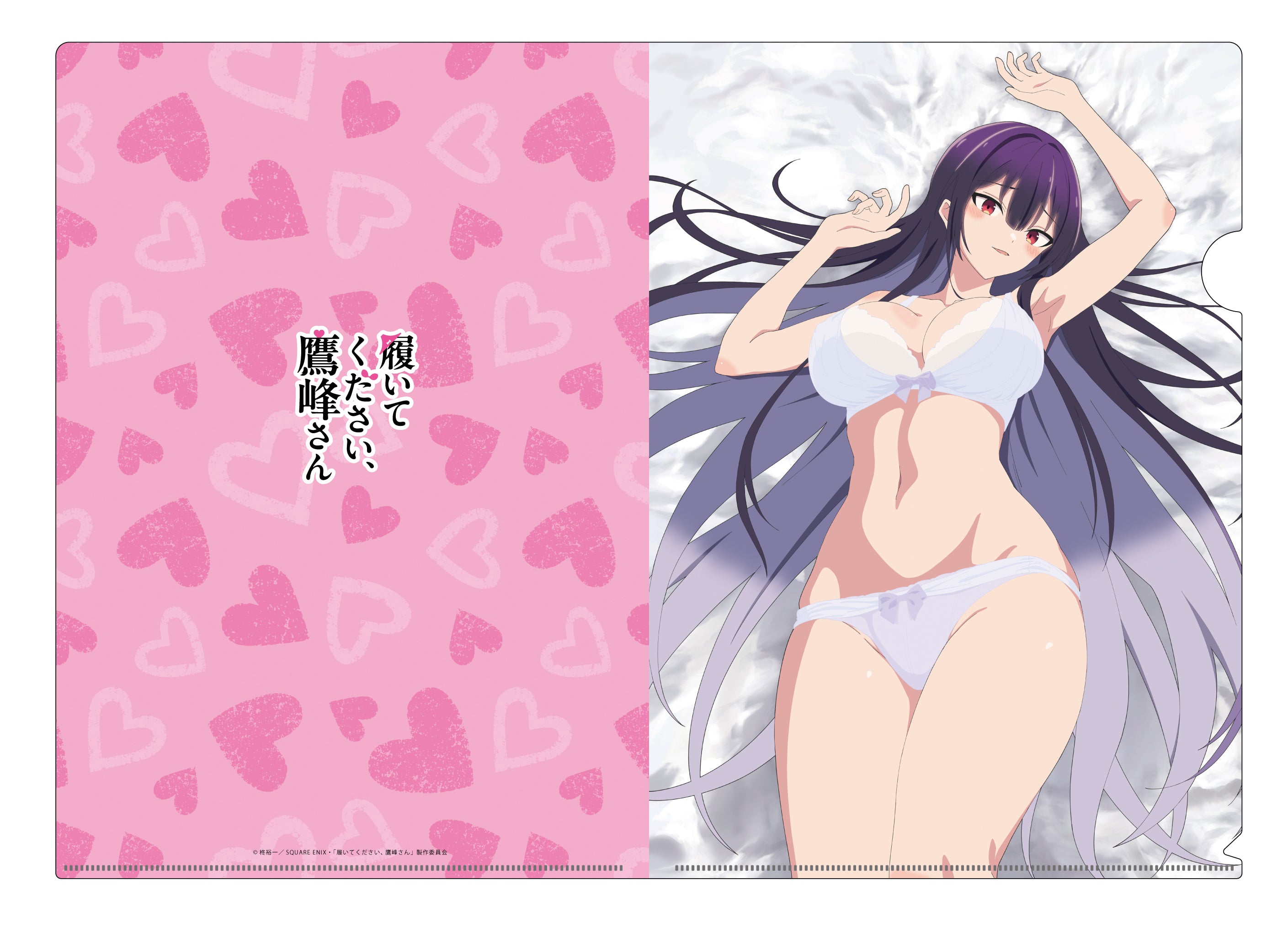 履いてください、鷹峰さん　クリアファイルB